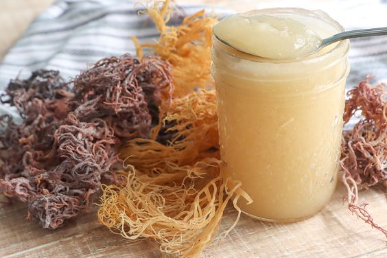 Sea Moss Drink